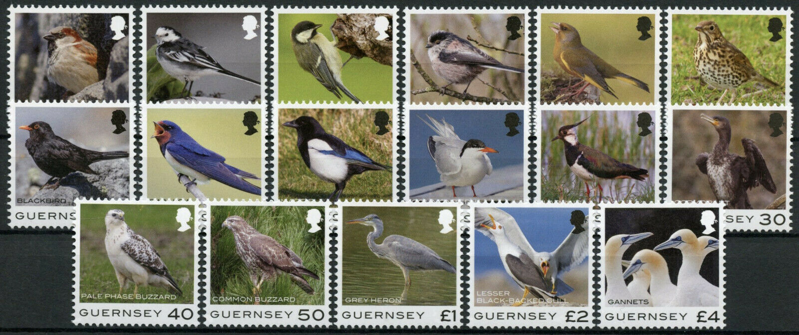 Guernsey 2021 MNH Birds on Stamps Definitives Sparrows Buzzards Herons 17v Set