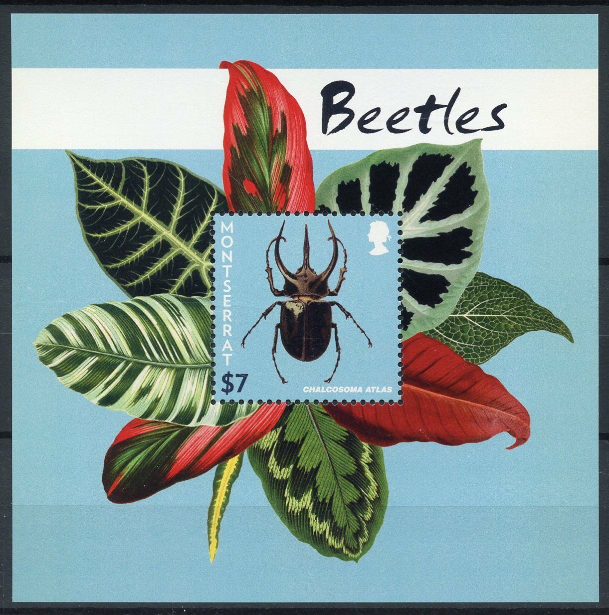 Montserrat Insects on Stamps 2015 MNH Beetles Atlas Beetle 1v S/S