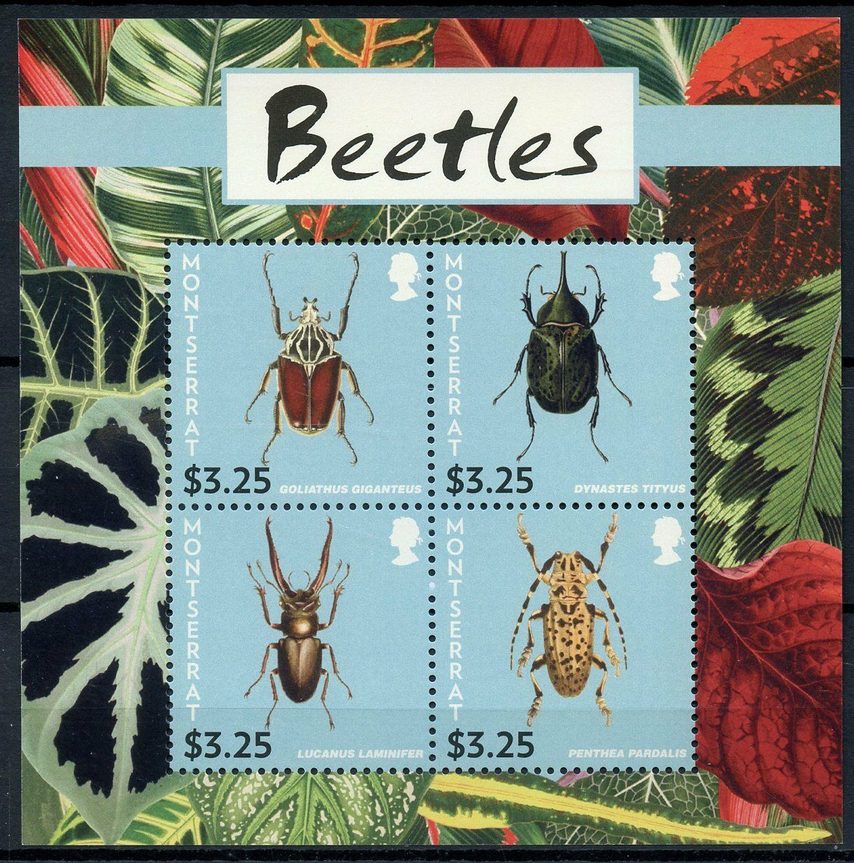 Montserrat Insects on Stamps 2015 MNH Beetles Goliath Beetle Fauna 4v M/S