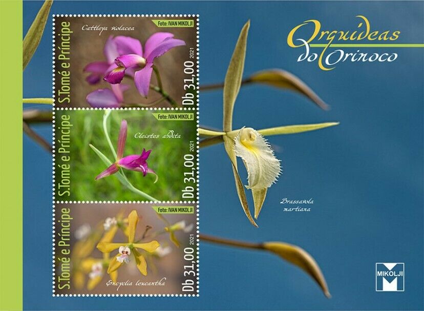 Sao Tome & Principe Flowers Stamps 2021 MNH Orinoco Orchids Nature 3v M/S I