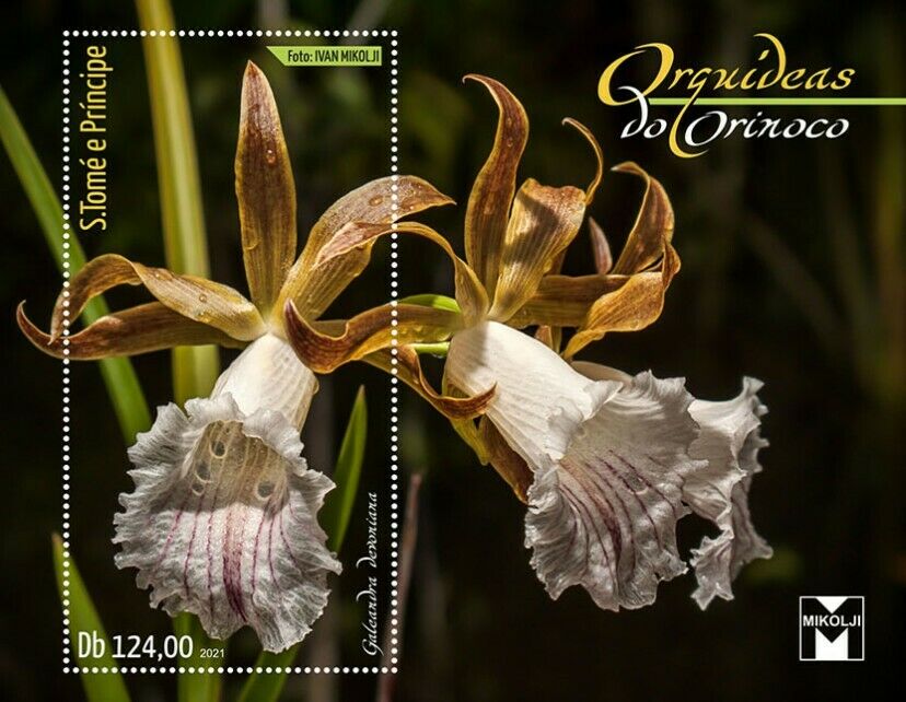 Sao Tome & Principe Flowers Stamps 2021 MNH Orinoco Orchids Nature 1v S/S I