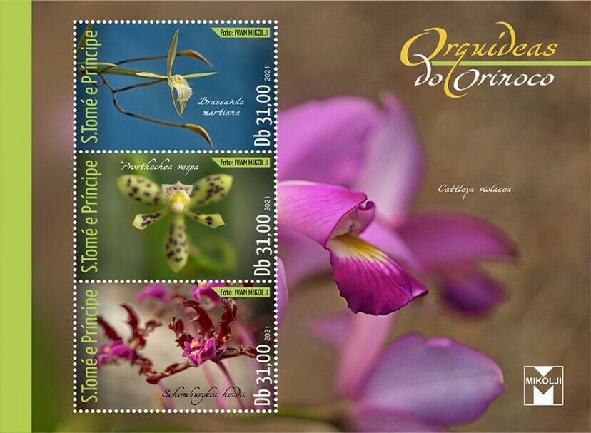 Sao Tome & Principe Flowers Stamps 2021 MNH Orinoco Orchids Nature 3v M/S II
