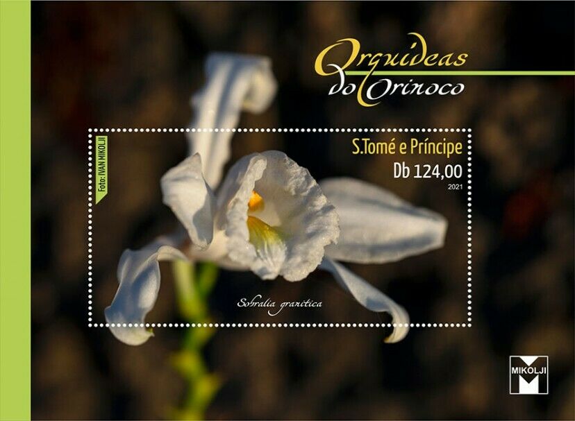 Sao Tome & Principe Flowers Stamps 2021 MNH Orinoco Orchids Nature 1v S/S II