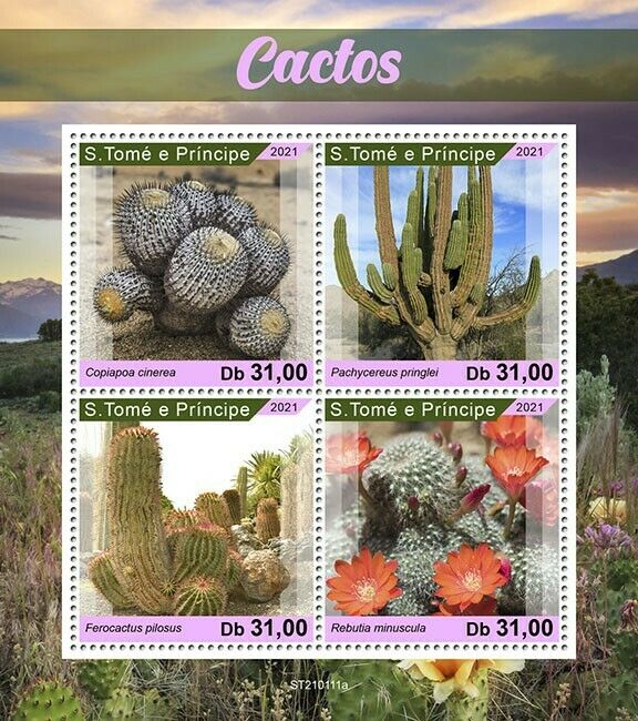 Sao Tome & Principe Cactus Stamps 2021 MNH Plants Flowers Flora Nature 4v M/S