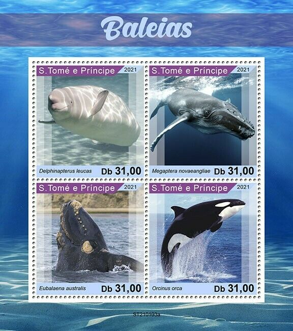 Sao Tome & Principe 2021 MNH Whales Stamps Killer Whale Marine Animals 4v M/S