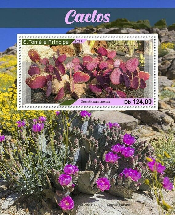 Sao Tome & Principe Cactus Stamps 2021 MNH Plants Flowers Flora Nature 1v S/S