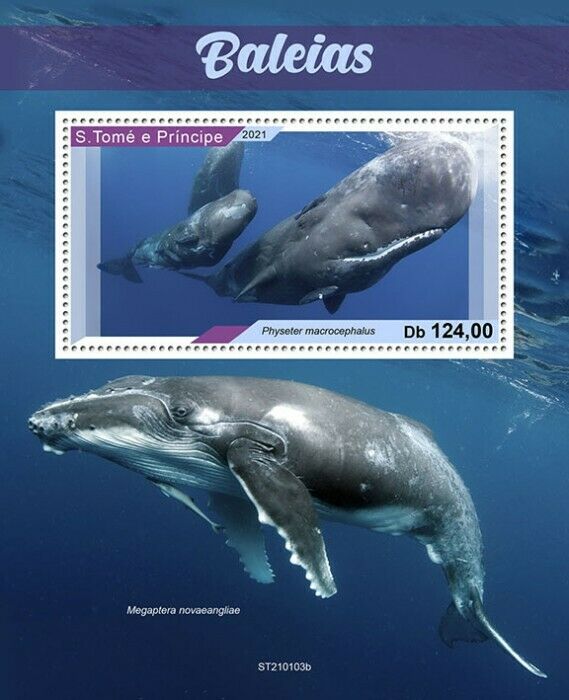 Sao Tome & Principe Whales Stamps 2021 MNH Sperm Whale Marine Animals 1v S/S