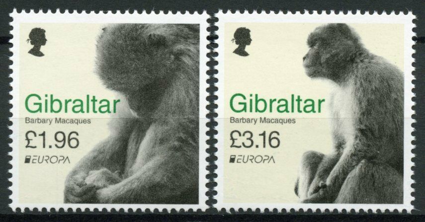 Gibraltar Europa Stamps 2021 MNH Barbary Macaques Endangered Ntl Wildlife 2v Set
