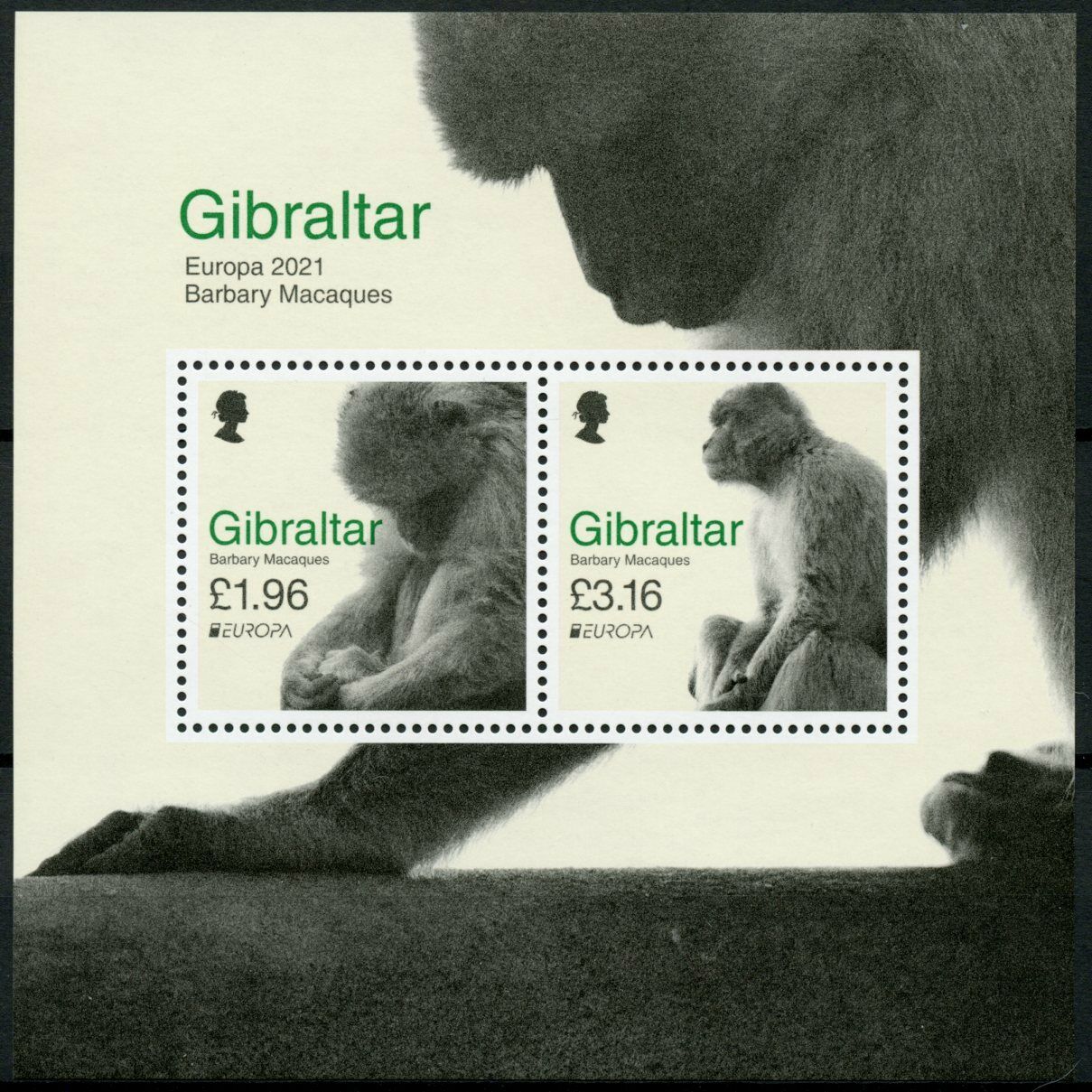 Gibraltar Europa Stamps 2021 MNH Barbary Macaques Endangered Ntl Wildlife 2v M/S