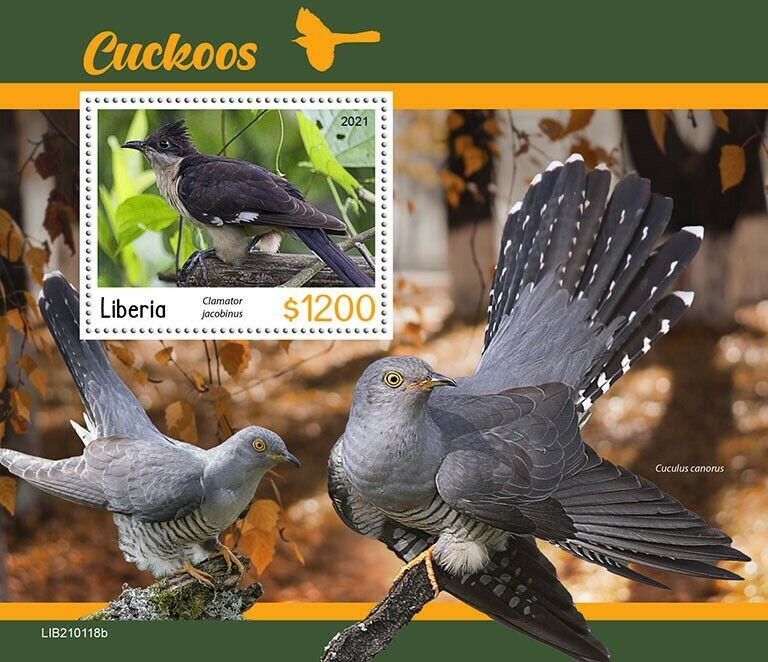 Liberia 2021 MNH Birds on Stamps Cuckoos Jacobin Cuckoo 1v S/S