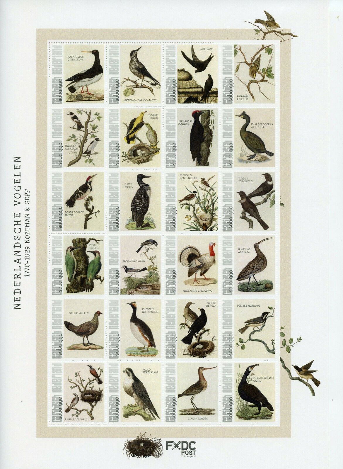 Saba Caribbean Netherlands Stamps 2021 MNH Dutch Birds Nozeman & Sepp 24v M/S