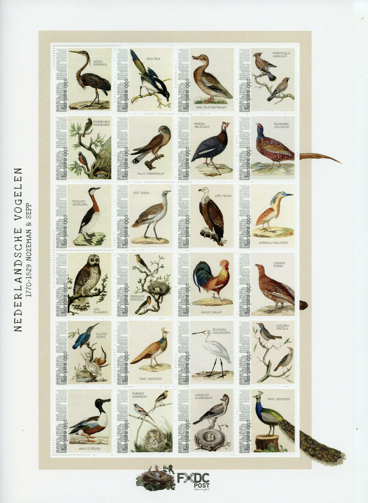 Bonaire Caribbean Netherlands Stamps 2021 MNH Dutch Birds Nozeman & Sepp 24v M/S