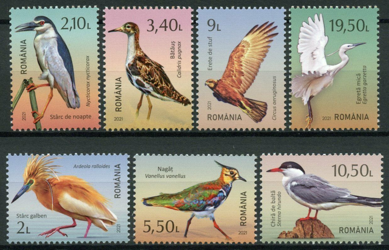 Romania Birds on Stamps 2021 MNH Delta of Moldova Herons Egrets Terns 7v Set