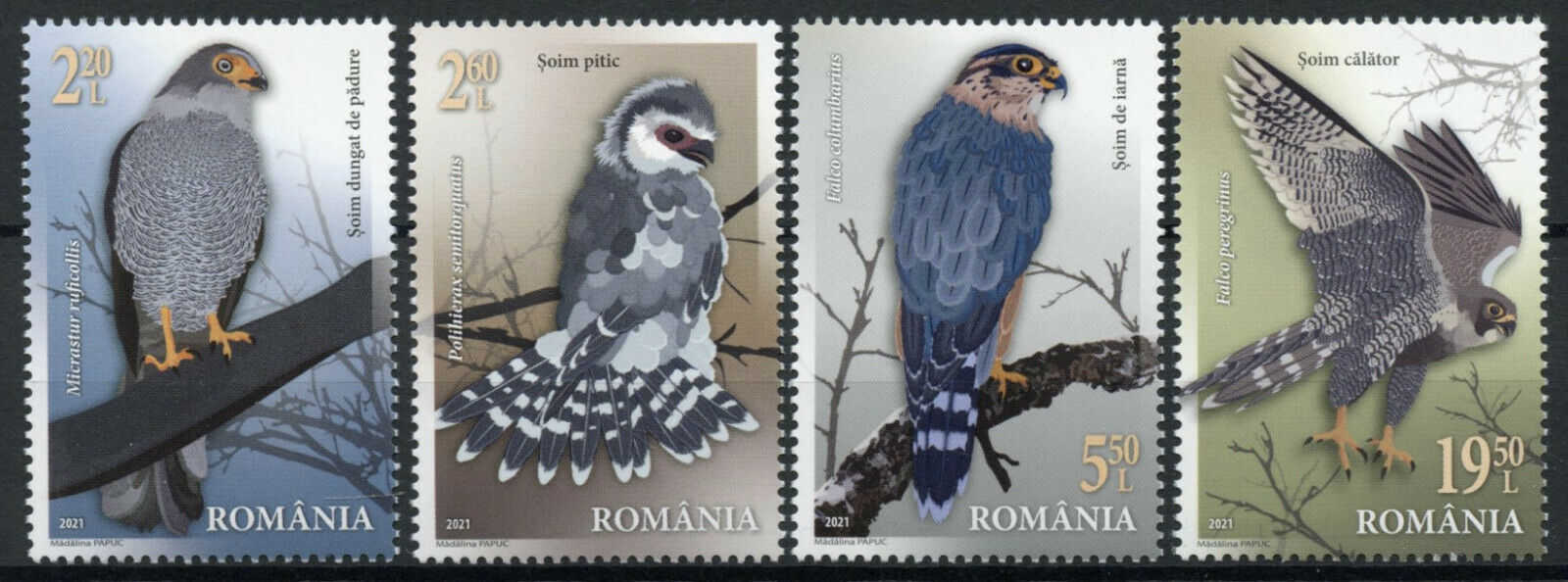 Romania Birds of Prey on Stamps 2021 MNH Falcons Falcon Raptors 4v Set