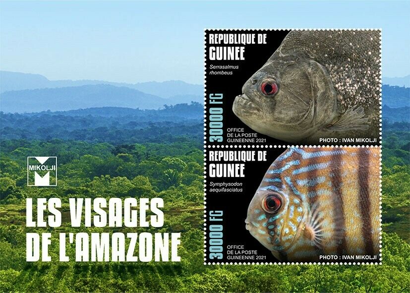 Guinea Fish Stamps 2021 MNH Faces of Amazon Fishes Piranhas 2v S/S II