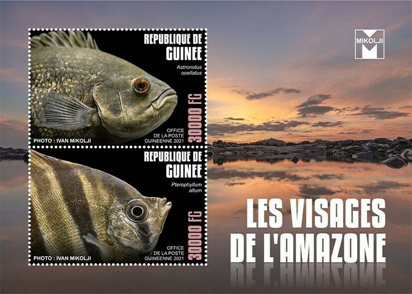 Guinea Fish Stamps 2021 MNH Faces of Amazon Fishes Oscar Cichlids 2v S/S I