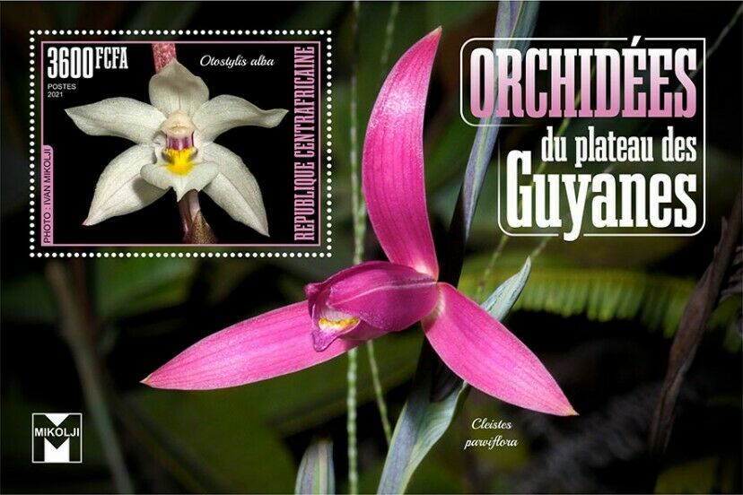 Central African Republic Flowers Stamps 2021 MNH Guiana Shield Orchids 1v S/S I