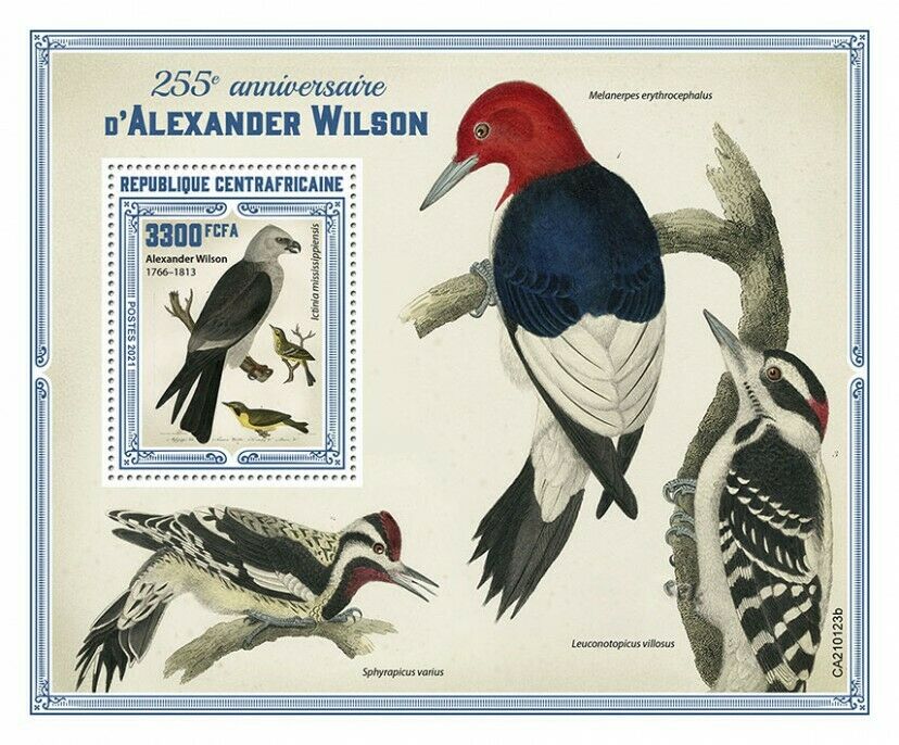 Central African Republic Birds on Stamps 2021 MNH Alexander Wilson Art 1v S/S