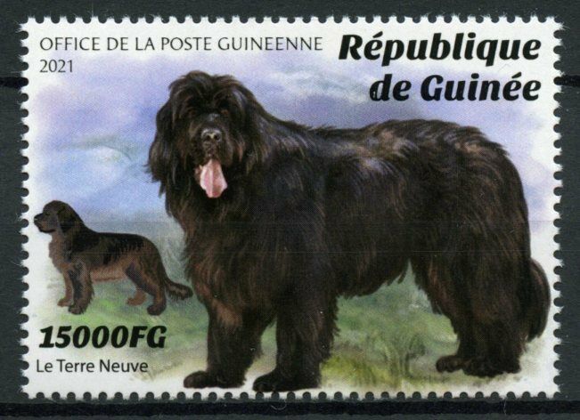 Guinea Dogs Stamps 2021 MNH Newfoundland Dog Breeds Domestic Animals 1v Set