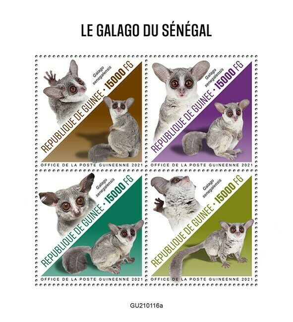 Guinea 2021 MNH Wild Animals Stamps Senegal Bushbaby Bush Babies Primates 4v M/S