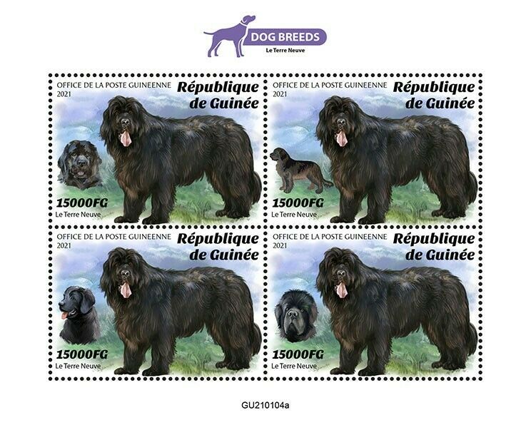 Guinea Dogs Stamps 2021 MNH Newfoundland Dog Breeds Domestic Animals 4v M/S