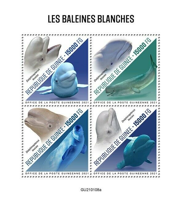 Guinea 2021 MNH Whales Stamps Beluga Whale Marine Animals 4v M/S