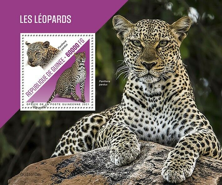 Guinea 2021 MNH Wild Animals Stamps Leopards Leopard Big Cats Fauna 1v S/S