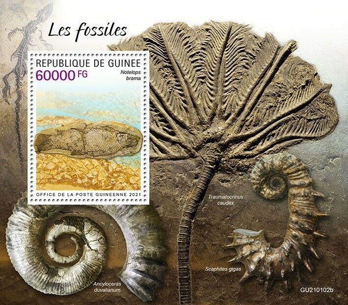 Guinea Fossils Stamps 2021 MNH Prehistoric Animals Notelops Fish 1v S/S