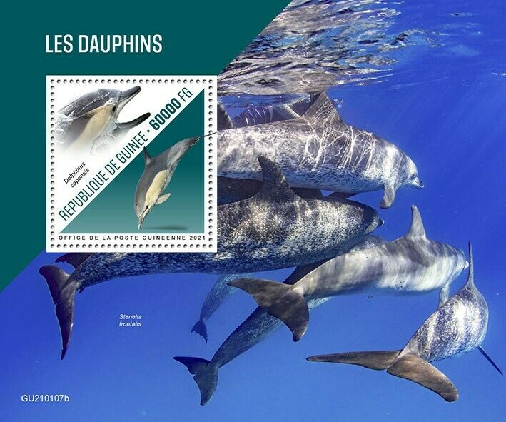 Guinea Dolphins Stamps 2021 MNH Long-Beaked Common Dolphin Marine Animals 1v S/S