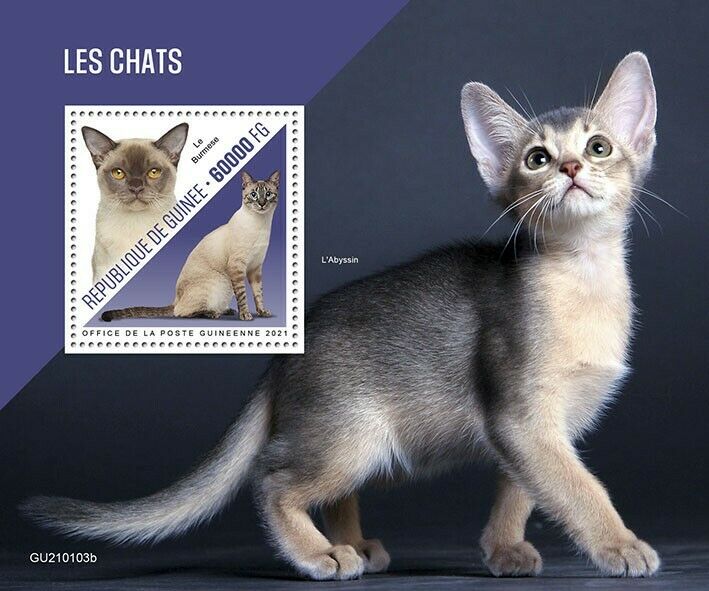 Guinea 2021 MNH Cats Stamps Burmese Abyssinian Cat Domestic Animals Pets 1v S/S