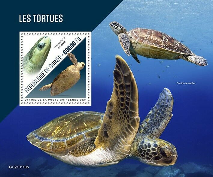 Guinea Turtles Stamps 2021 MNH Olive Ridley Sea Turtle 1v S/S