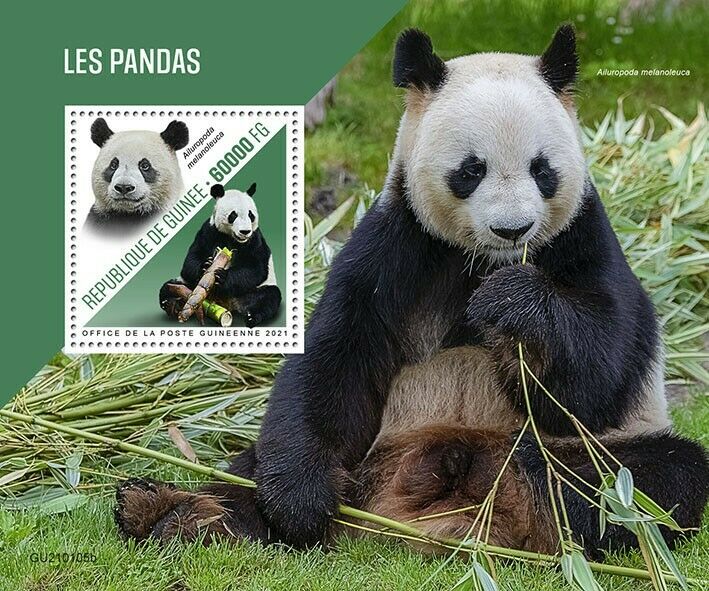 Guinea Wild Animals Stamps 2021 MNH Pandas Giant Panda Fauna 1v S/S