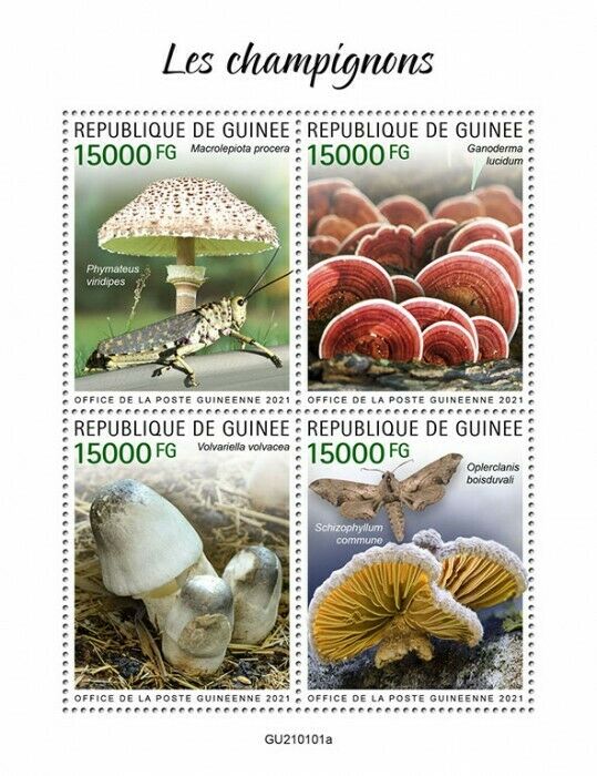 Guinea Mushrooms Stamps 2021 MNH Fungi Mushroom Nature Insects 4v M/S