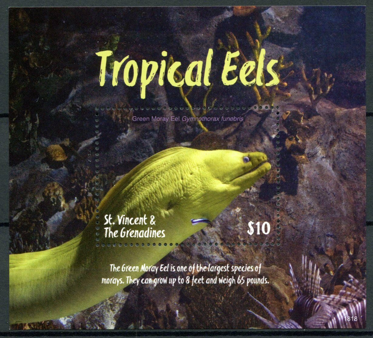 St Vincent & Grenadines 2018 MNH Fish Stamps Tropical Eels Moray Eel 1v S/S