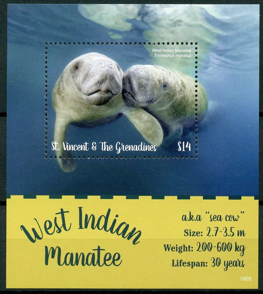 St Vincent & Grenadines 2019 MNH Marine Animals Stamps West Indian Manatee Wild Animals 1v S/S