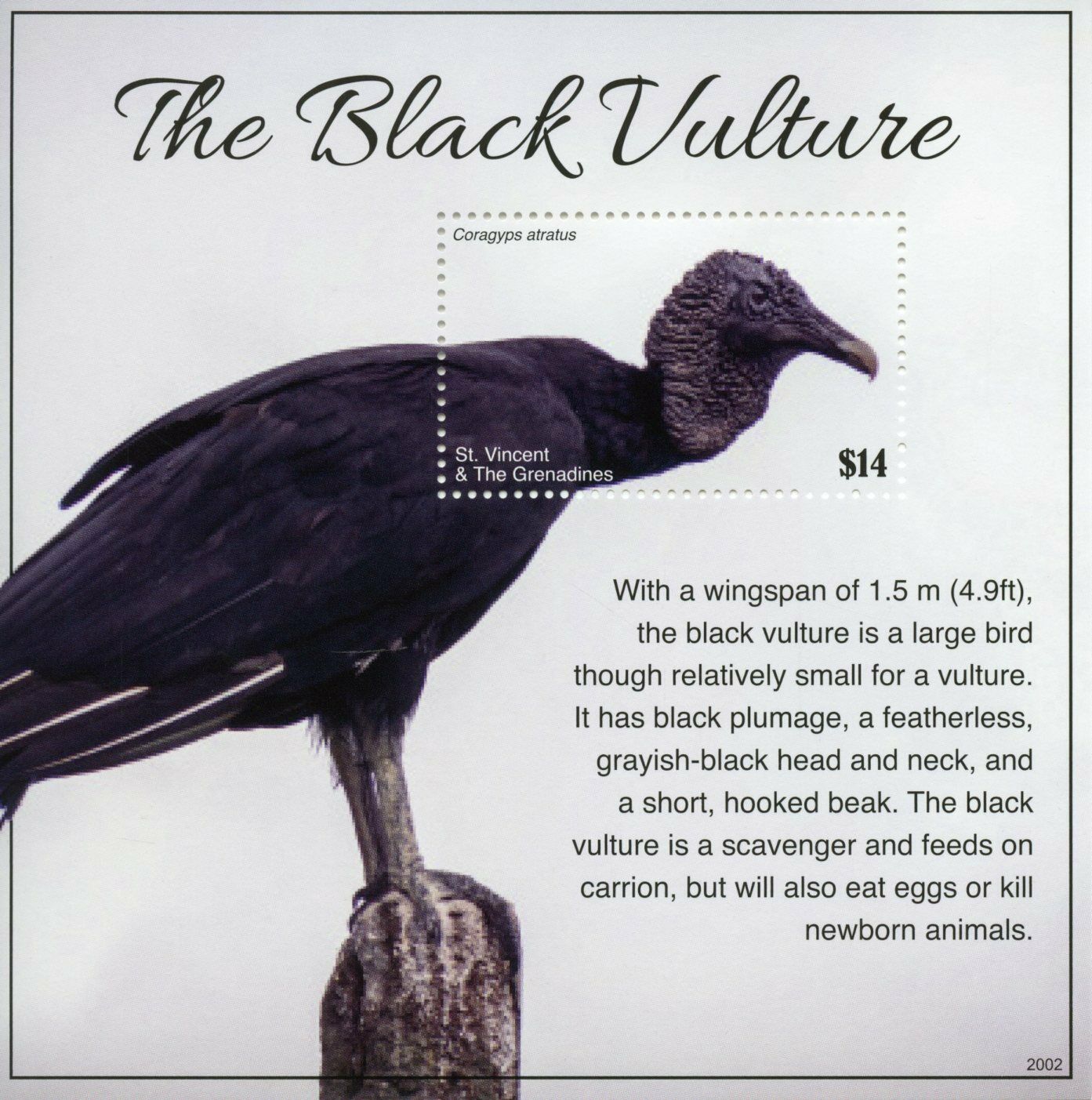 St Vincent & Grenadines 2020 MNH Birds on Stamps Vultures Black Vulture 1v S/S