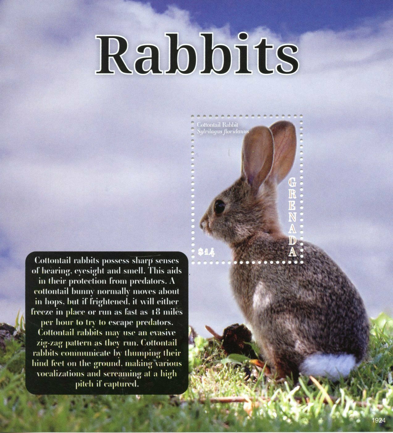 Grenada Domestic Animals 2019 Stamps MNH Rabbits Cottontail Rabbit 1v S/S