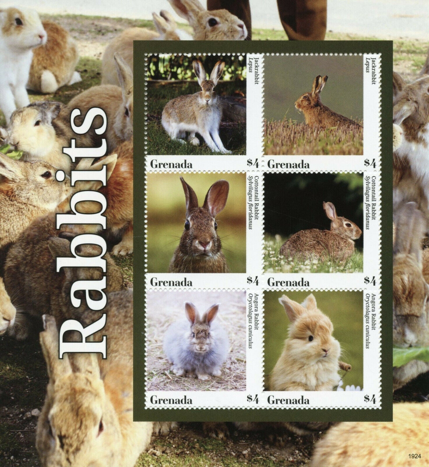 Grenada 2019 MNH Domestic Animals Stamps Rabbits Cottontail Angora Rabbit 6v M/S