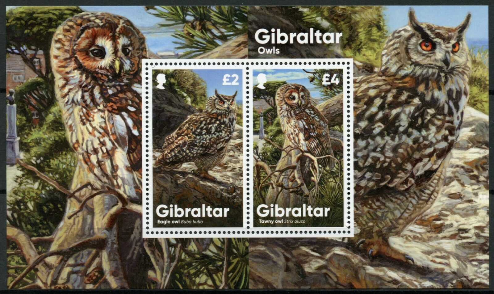 Gibraltar 2020 MNH Birds on Stamps Owls Eagle Tawny Owl 2v M/S