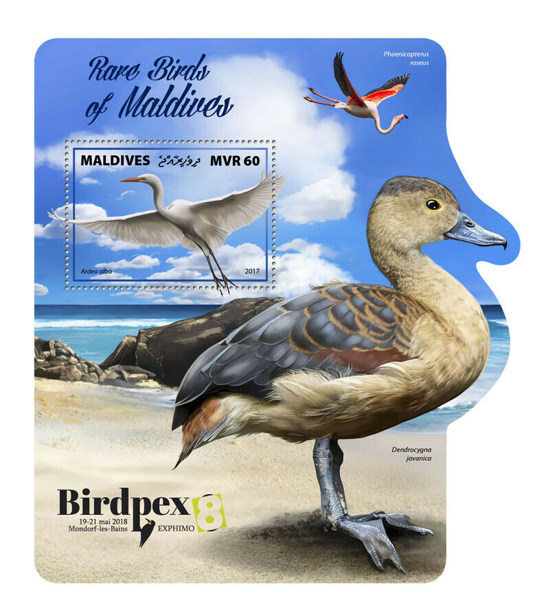 Maldives Stamps 2017 MNH Rare Birds Birdpex Egrets Ducks Flamingos 1v S/S