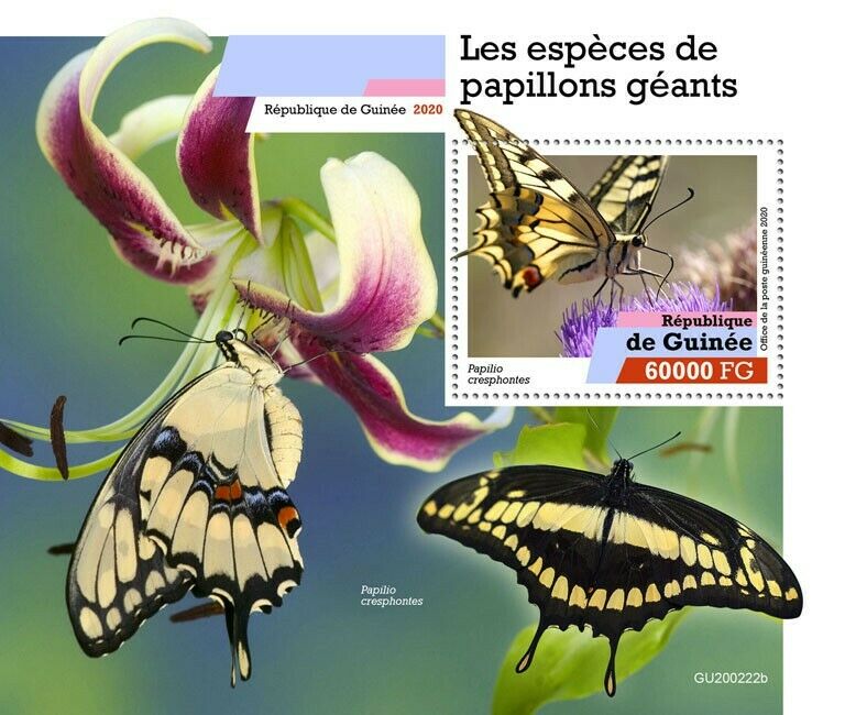 Guinea Butterflies Stamps 2020 MNH Large Species Butterfly Insects 1v S/S