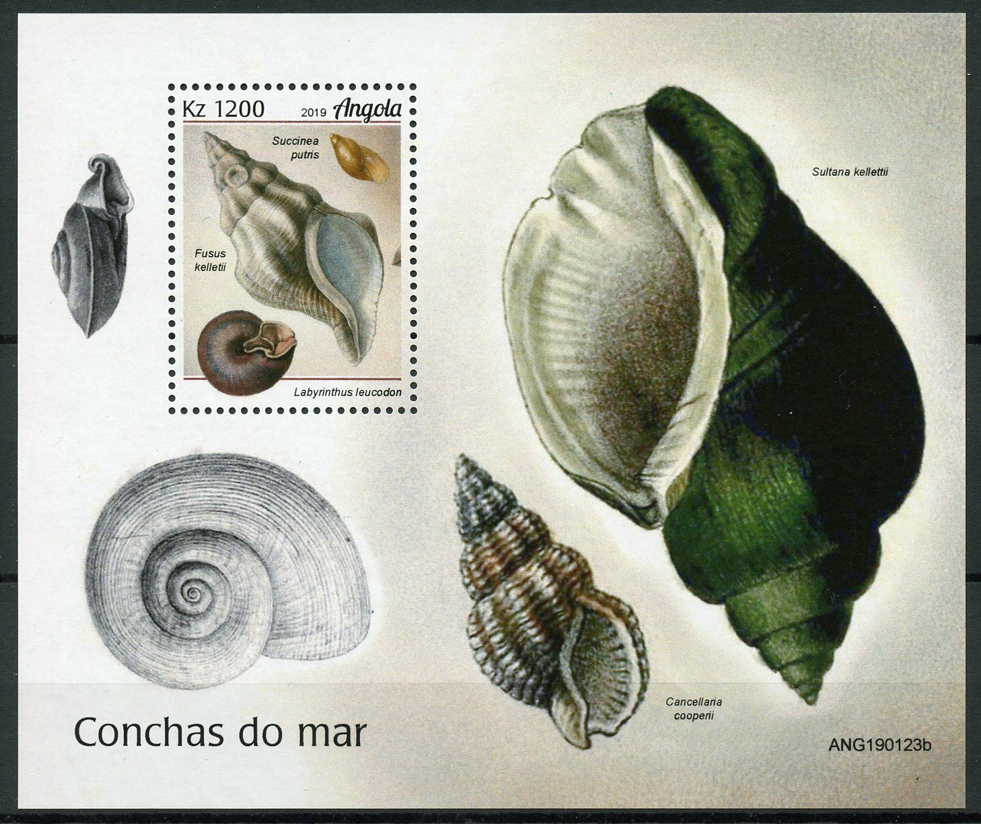 Angola 2019 MNH Seashells Stamps Sea Shells Marine 1v M/S