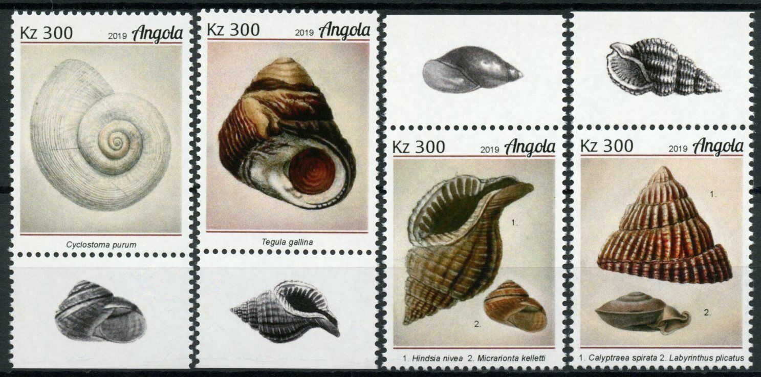 Angola 2019 MNH Seashells Stamps Sea Shells Marine 4v Set