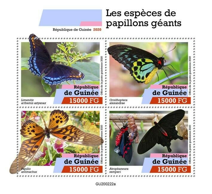 Guinea Butterflies Stamps 2020 MNH Large Species Butterfly Insects 4v M/S