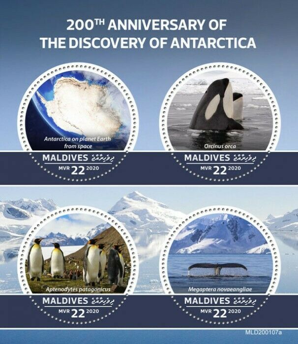 Maldives 2020 MNH Animals Stamps Discovery Antarctica Penguins Whales 4v M/S