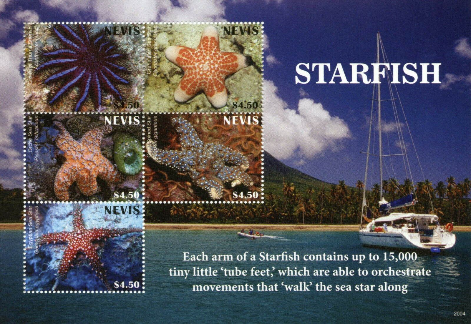 Nevis Marine Animals Stamps 2020 MNH Starfish Seastars 5v M/S