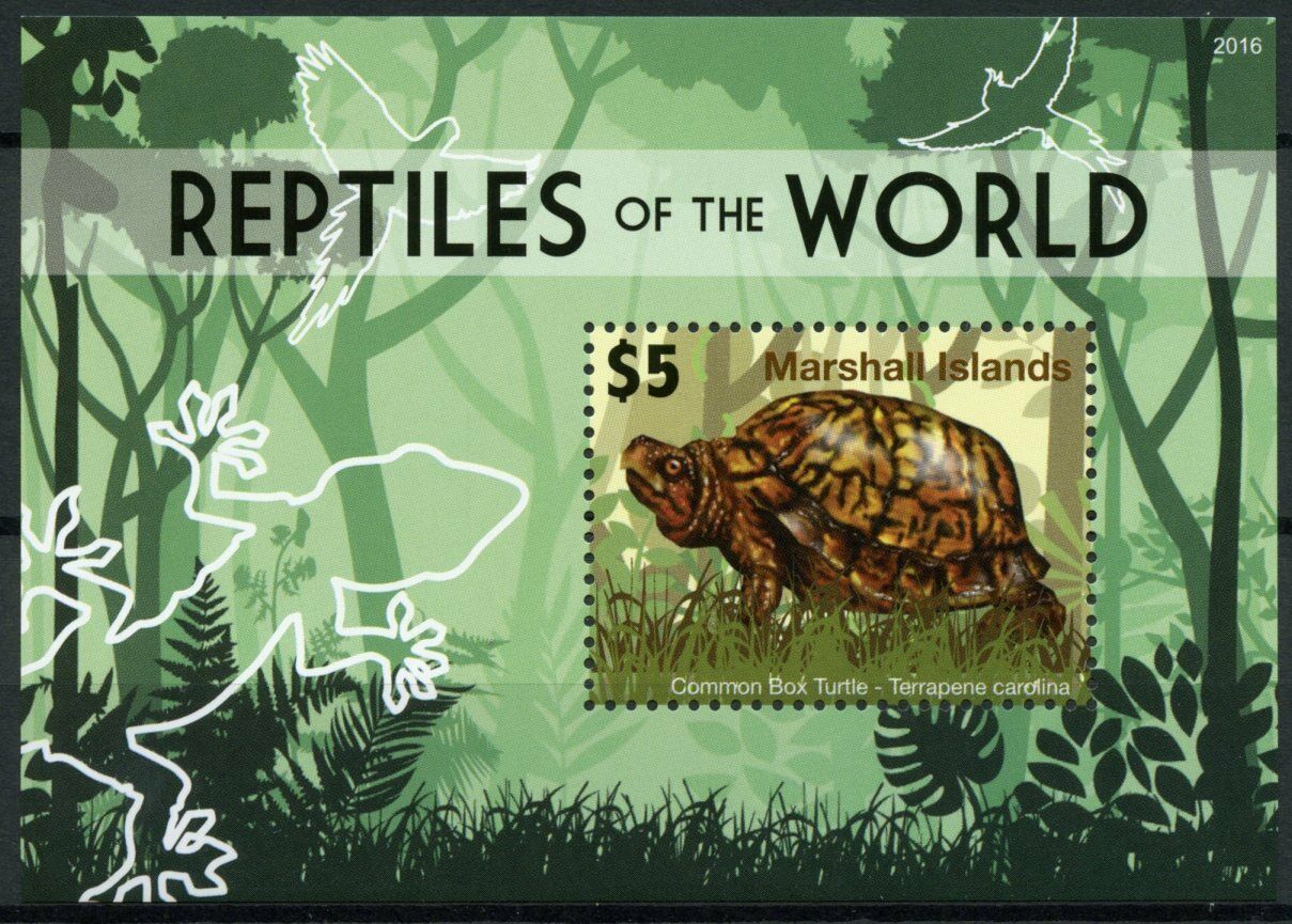 Marshall Islands Reptiles Stamps 2020 MNH Common Box Turtles 1v S/S