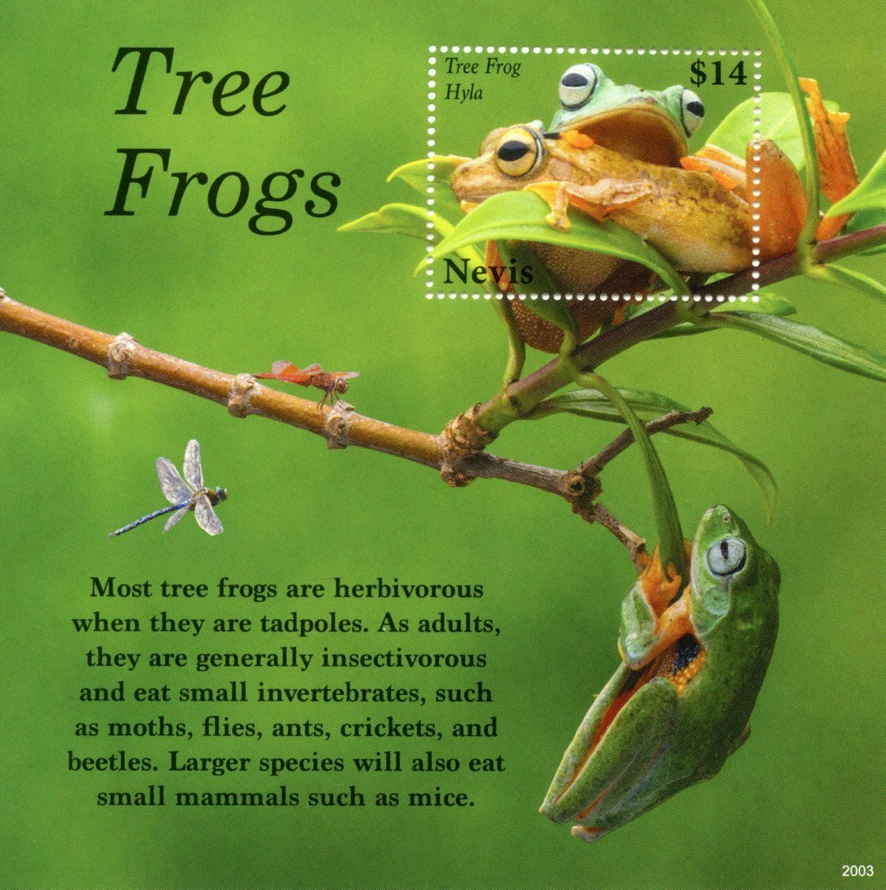 Nevis 2020 MNH Amphibians Stamps Tree Frogs Tree Frog Hyla 1v S/S