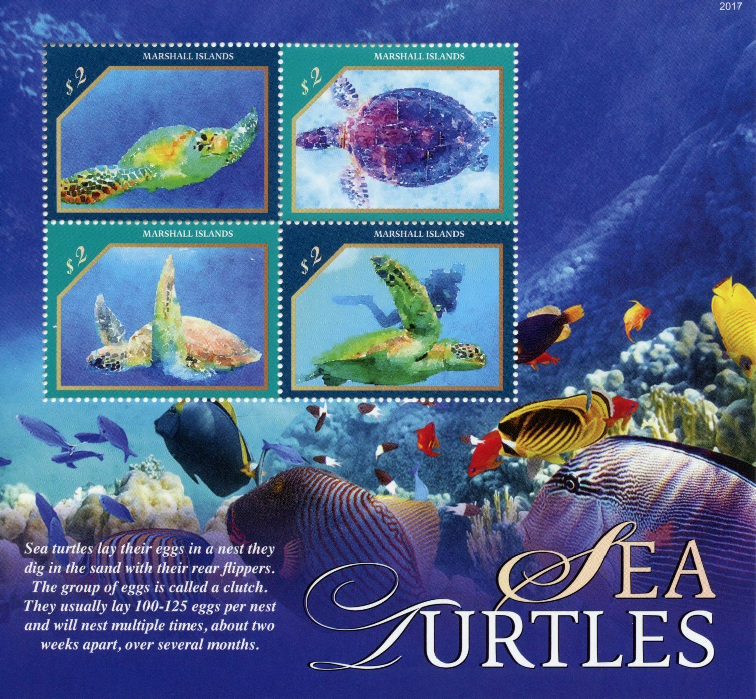 Marshall Islands Reptiles Stamps 2020 MNH Sea Turtles Marine Animals 4v M/S