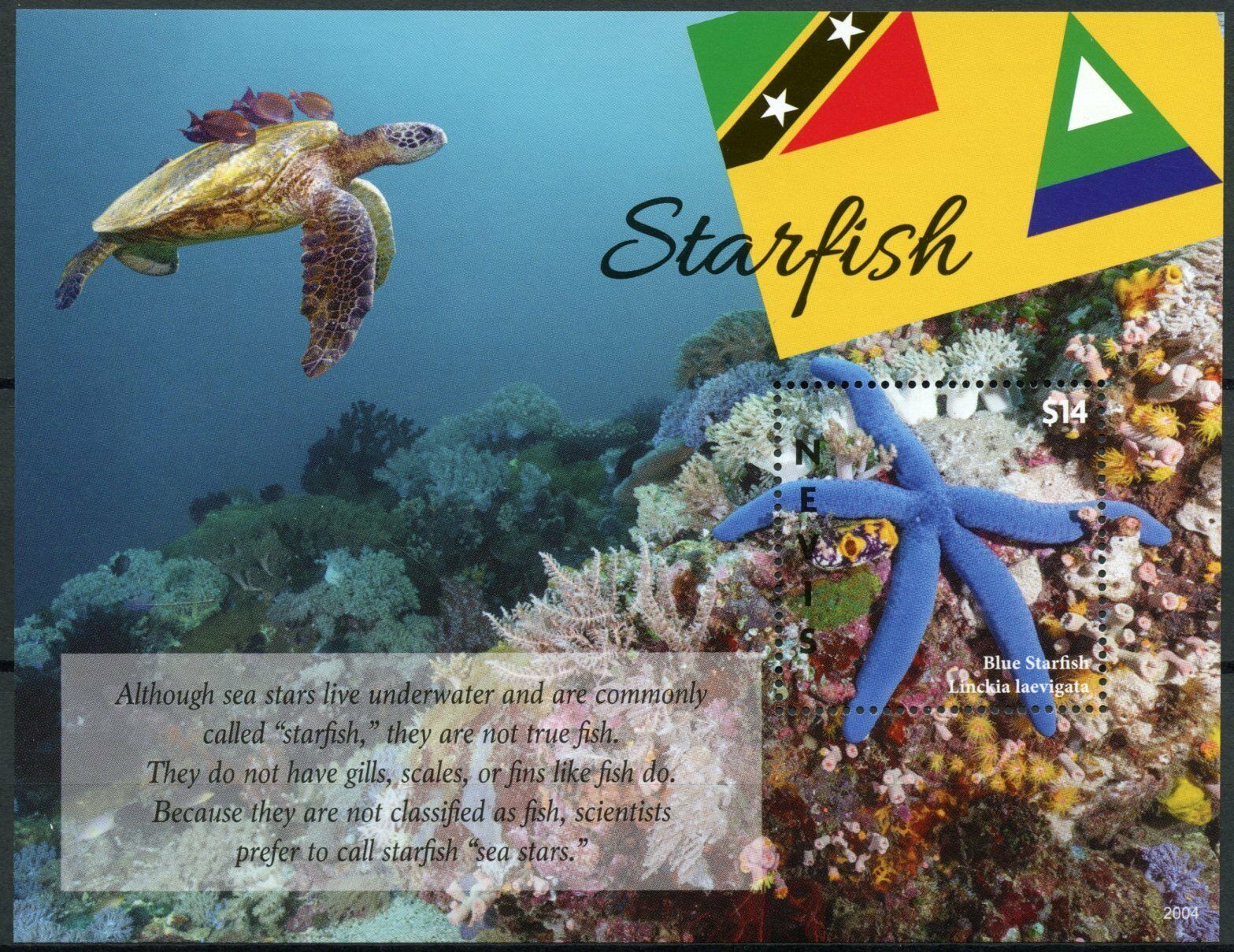 Nevis Marine Animals Stamps 2020 MNH Blue Starfish Sea Turtles 1v S/S